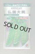 送料無料　[えんどう]　キヌサヤエンドウ　仏国大莢　18ml　タキイ種苗(株)　GF
