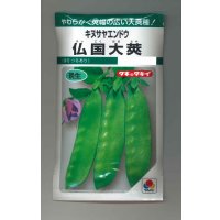 送料無料　[えんどう]　キヌサヤエンドウ　仏国大莢　18ml　タキイ種苗(株)　GF