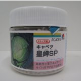 送料無料　[キャベツ]　星岬SP　ペレット　5000粒　タキイ種苗(株)