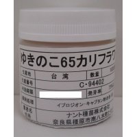 [カリフラワー]　ゆきのこ65　ペレット1000粒　ナント種苗（株）