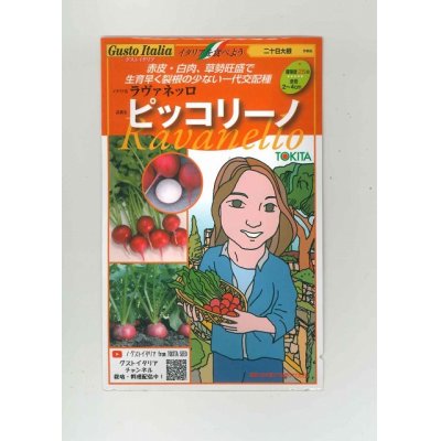 画像1: [イタリア野菜]　ピッコリーノ　300粒　 トキタ種苗（株）