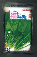 [ほうれんそう]　福兵衛　3万粒(種子サイズ：L)　タキイ種苗(株)