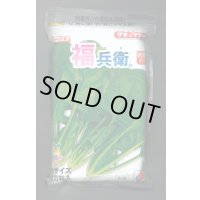 [ほうれんそう]　福兵衛　3万粒(種子サイズ：L)　タキイ種苗(株)