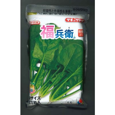 画像1: [ほうれんそう]　福兵衛　3万粒(種子サイズ：L)　タキイ種苗(株)
