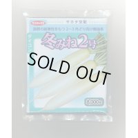 大根　冬みね2号　8000粒　サカタのタネ（株）