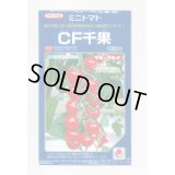 送料無料　[トマト/ミニトマト]　CF千果　1000粒　貴種(コートしてません)　タキイ種苗(株)