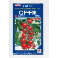 [トマト/ミニトマト]　送料無料！　CF千果　1000粒 貴種（コートしてません）　タキイ種苗（株）