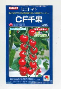 [トマト/ミニトマト]　送料無料！　CF千果　1000粒 貴種（コートしてません）　タキイ種苗（株）