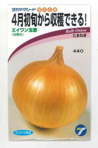 送料無料　[たまねぎ]　エイワン　3.5ml（約430粒）(株)タカヤマシード