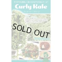 送料無料　ちりめんケール　カーリーグリーン　コート種子30粒　松永種苗(株)