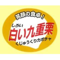 青果シール　かぼちゃ　白い九重栗　100枚　カネコ種苗