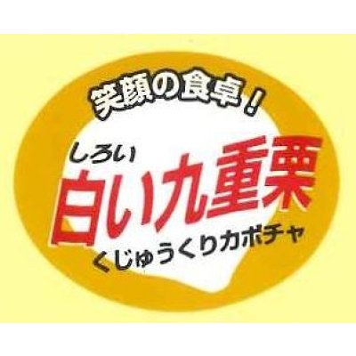 画像1: 青果シール　かぼちゃ　白い九重栗　100枚　カネコ種苗