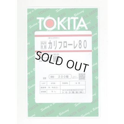 画像1: [イタリア野菜] カリフローレ80 200粒 トキタ種苗(株)