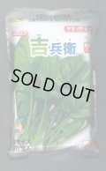 [ほうれんそう]　吉兵衛　3万粒(種子サイズ：Ｍ)　タキイ種苗(株)