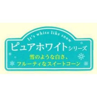 画像1: 送料無料！青果シール　とうもろこし　　ピュアホワイトシリーズ　小サイズ　　2000枚　雪印種苗