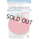 送料無料　[トマト/桃太郎系]　ＣＦ桃太郎はるか　16粒　タキイ種苗(株)　DF