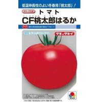 [トマト/桃太郎系]　ＣＦ桃太郎はるか　16粒　タキイ種苗（株）　DF