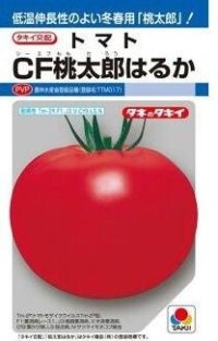 [トマト/桃太郎系]　ＣＦ桃太郎はるか　16粒　タキイ種苗（株）　DF