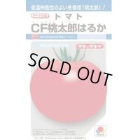 送料無料　[トマト/桃太郎系]　ＣＦ桃太郎はるか　16粒　タキイ種苗(株)　DF