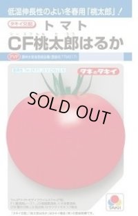 送料無料　[トマト/桃太郎系]　ＣＦ桃太郎はるか　16粒　タキイ種苗(株)　DF