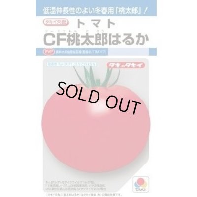 画像1: 送料無料　[トマト/桃太郎系]　ＣＦ桃太郎はるか　16粒　タキイ種苗(株)　DF