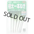 送料無料　[ねぎ]　夏扇パワー　3ml(粒数目安およそ500粒)　(株)サカタのタネ　実咲450（101526）