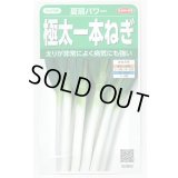 送料無料　[ねぎ]　夏扇パワー　3ml(粒数目安およそ500粒)　(株)サカタのタネ　実咲450（101526）