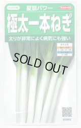送料無料　[ねぎ]　夏扇パワー　3ml(粒数目安およそ500粒)　(株)サカタのタネ　実咲450（101526）