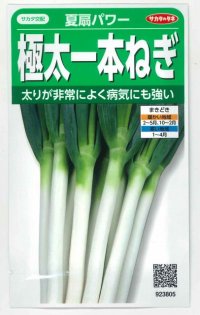 [ねぎ]　夏扇パワー　3ml（粒数目安およそ500粒）　（株）サカタのタネ（実咲）　