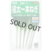 送料無料　[ねぎ]　夏扇パワー　3ml(粒数目安およそ500粒)　(株)サカタのタネ　実咲450（101526）