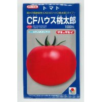 [トマト/桃太郎系]　送料無料！　CFハウス桃太郎　1000粒