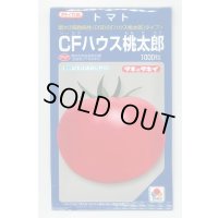 送料無料　[トマト/桃太郎系]　CFハウス桃太郎　1000粒　タキイ種苗（株）