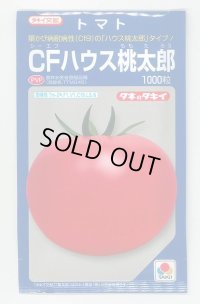 送料無料　[トマト/桃太郎系]　CFハウス桃太郎　1000粒　タキイ種苗（株）
