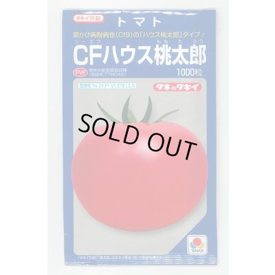 画像1: 送料無料　[トマト/桃太郎系]　CFハウス桃太郎　1000粒　タキイ種苗（株）