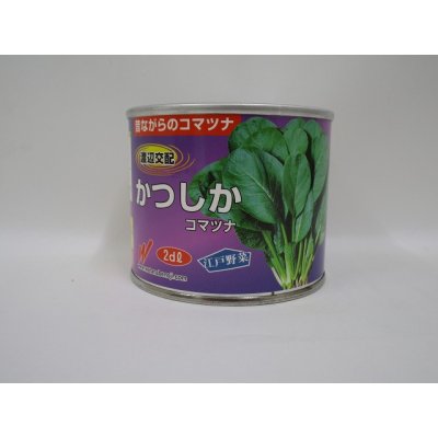 画像1: [小松菜]　かつしか　２ｄｌ　渡辺交配