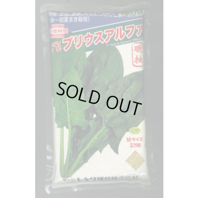 画像1: ほうれんそう　プリウスアルファ　3万粒（種子サイズ：M）　トキタ種苗(株)