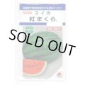 送料無料　[スイカ]　大玉スイカ　紅まくら　8粒　タキイ種苗(株)