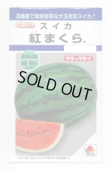 送料無料　[スイカ]　大玉スイカ　紅まくら　8粒　タキイ種苗(株)
