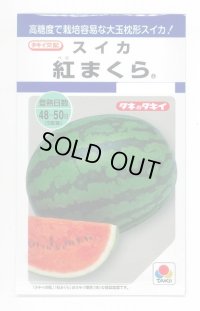 送料無料　[スイカ]　大玉スイカ　紅まくら　8粒　タキイ種苗(株)