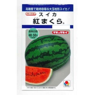 画像1: [スイカ]　大玉スイカ　紅まくら　8粒　タキイ種苗（株）