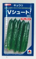 送料無料　[キュウリ]　Ｖシュート　350粒　タキイ種苗(株)