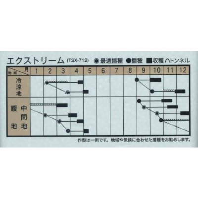 画像4: 送料無料　ほうれんそう　エクストリーム　30ml　トキタ種苗(株)