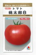 送料無料　[トマト/桃太郎系]　桃太郎8　100粒　タキイ種苗(株)