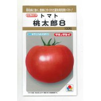 [トマト/桃太郎系]　桃太郎８　100粒 　タキイ種苗（株）　