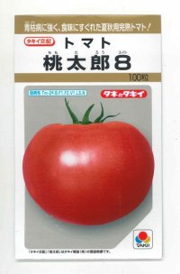 [トマト/桃太郎系]　桃太郎８　100粒 　タキイ種苗（株）　