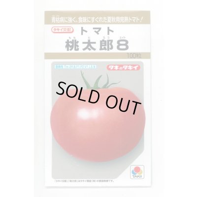 画像1: 送料無料　[トマト/桃太郎系]　桃太郎8　100粒　タキイ種苗(株)
