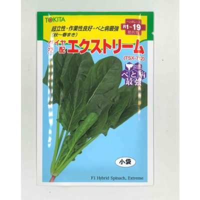 画像1: 送料無料　ほうれんそう　エクストリーム　30ml　トキタ種苗(株)