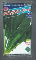 ほうれんそう　エクストリーム　　3万粒　（種子サイズM）トキタ種苗(株)