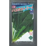 ほうれんそう　エクストリーム　　3万粒　（種子サイズM）トキタ種苗(株)