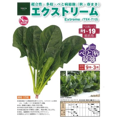 画像2: 送料無料　ほうれんそう　エクストリーム　30ml　トキタ種苗(株)